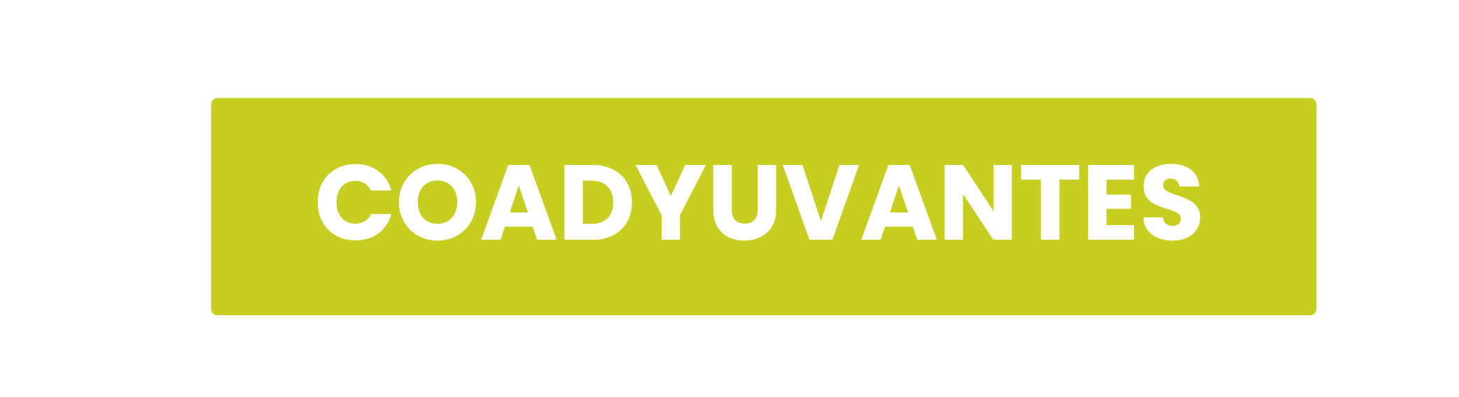 Categoría 2 Imagen 2